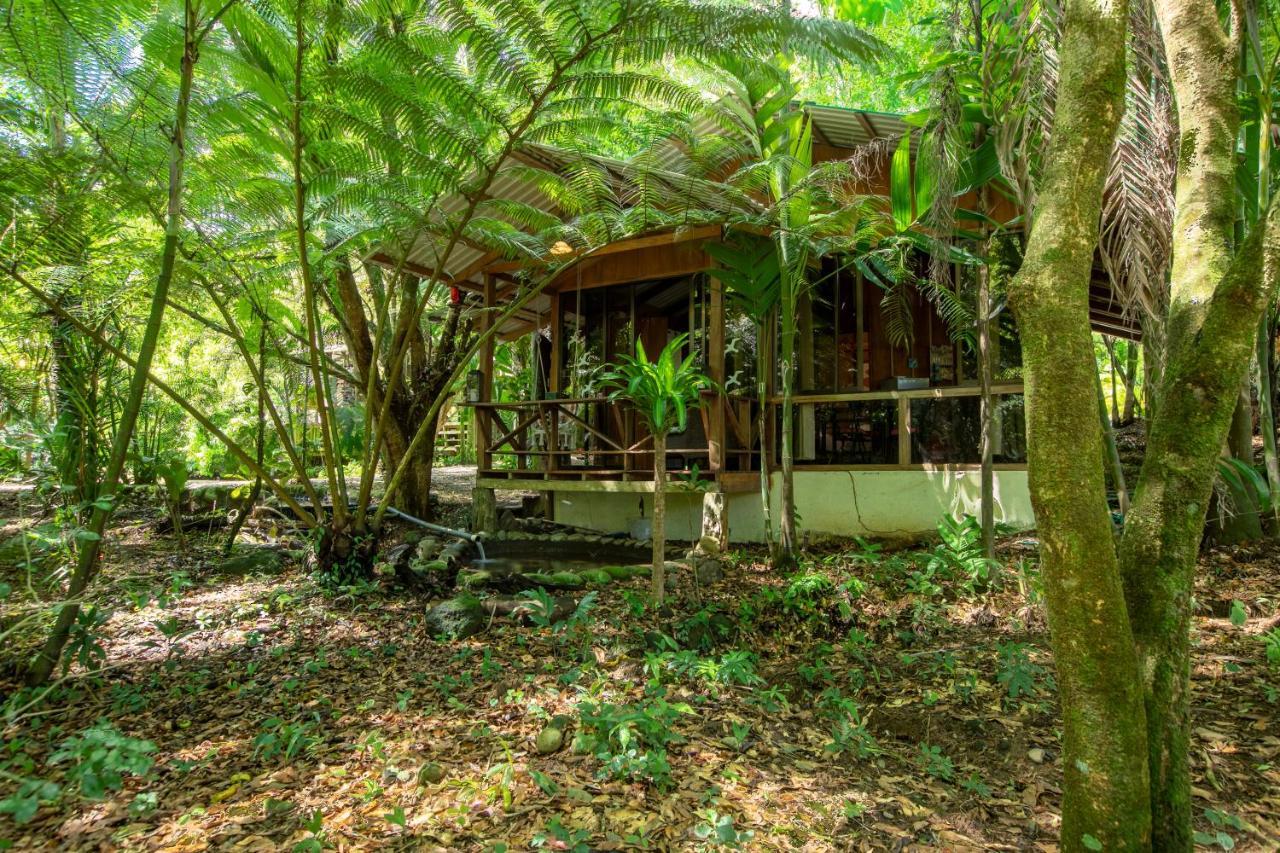 Cabanas Del Lago La Fortuna 外观 照片