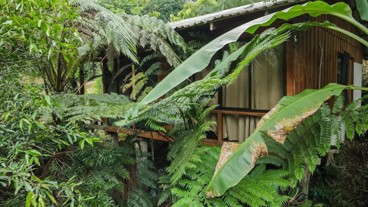 Cabanas Del Lago La Fortuna 外观 照片